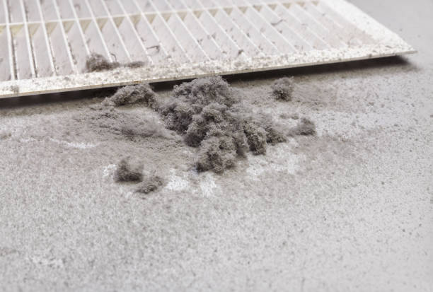 Best Best Air Duct Cleaning Company  in Clinton, MO