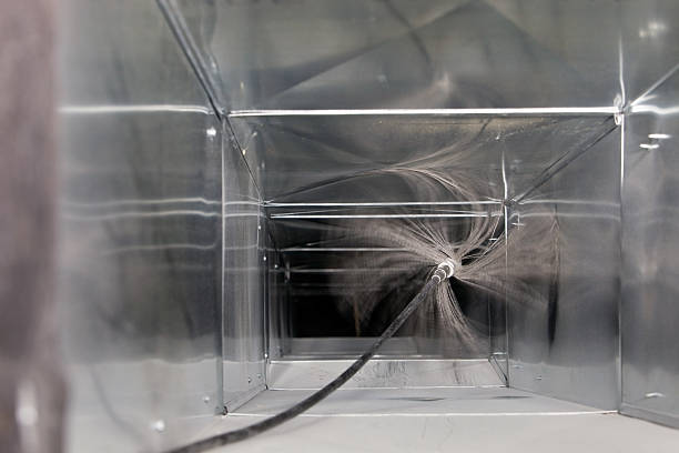 Best Air Duct Mold Removal  in Clinton, MO