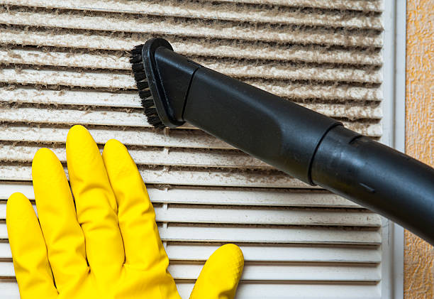 Best Air Vent Cleaning Services  in Clinton, MO